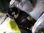 2025 BMW R 1300 GS Adventure