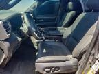 2025 Toyota Tundra Crewmax Limited