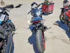 2024 Ducati Monster