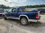 2000 Dodge Dakota Quattro