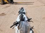 2026 Suzuki GSX800 F