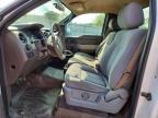 2010 Ford F150