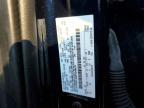 2024 Ford F150 XLT
