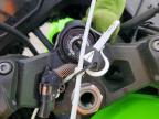 2024 Kawasaki EX500 H