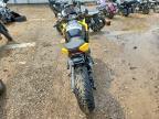 2024 Suzuki GSX800 F