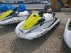 2019 Yamaha VX