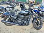 2020 Harley-Davidson XG500