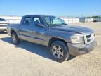 2010 Dodge Dakota SXT