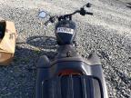 2022 Indian Motorcycle Co. Pursuit Dark Horse