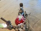 2006 Harley-Davidson XL1200 L
