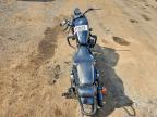 2020 Harley-Davidson XL883 N