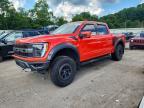 2022 Ford F150 Raptor