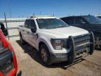 2023 Ford F150 Police Responder