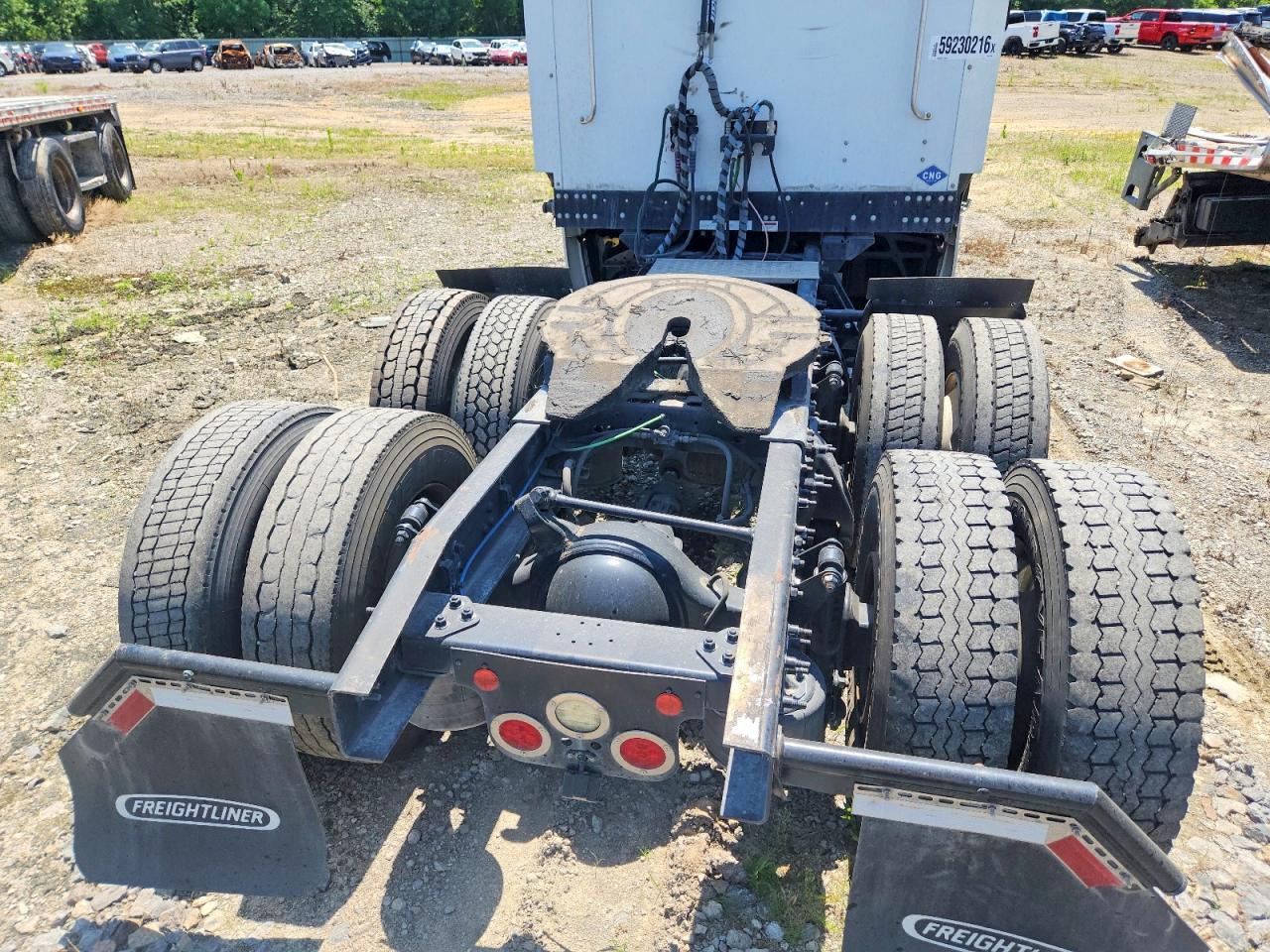 2019 Freightliner Cascadia 116
