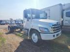 2017 Hino 338 Truck Cab AND Chassis