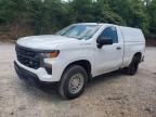 2023 Chevrolet Silverado C1500