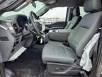 2025 Ford F150 XLT