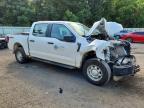 2025 Ford F150 XL
