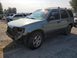 2007 Ford Escape xlt for sale in Arlington, WA