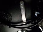2023 Indian Motorcycle Co. Pursuit Dark Horse With Premium Packag