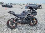2024 Kawasaki EX500 H