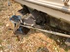 2000 Sea Ray BOAT&TRLR
