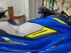 2020 Bayt Trans Sport