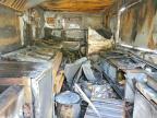 2023 Dawy 2023 FUD Concession Trailer