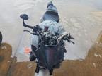 2025 Yamaha MTN1000