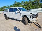 2024 Ford F150 Platinum
