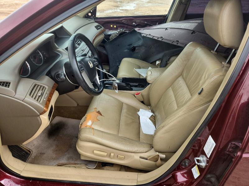 2009 Honda Accord exl