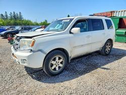 Honda Pilot salvage cars for sale: 2010 Honda Pilot Touring