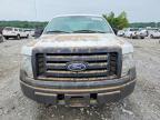 2010 Ford F150