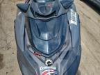 2023 Sea-Doo RXP-X 300