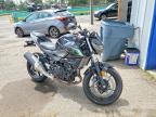 2025 Kawasaki ER500