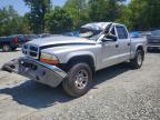 2001 Dodge Dakota Quattro