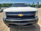 2013 Chevrolet Silverado C1500