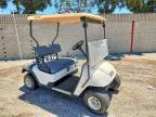2019 Ezgo Golf Cart