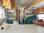 2003 Skyline Nomad Camper
