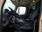 2019 Freightliner Business Class M2 Refrigerated BOX Truck