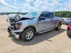 2025 Ford F150 XLT