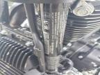 2025 Harley-Davidson Flhrxs
