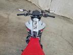 2024 Ducati Monster