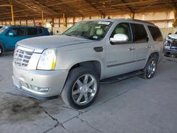 Cadillac salvage cars for sale: 2007 Cadillac Escalade Luxury