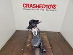 2025 Triumph Trident 660