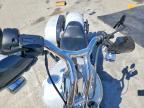 2021 Harley-Davidson Flsb