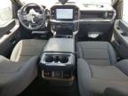 2025 Ford F150 STX