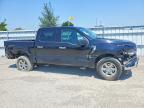 2025 Ford F150 XLT