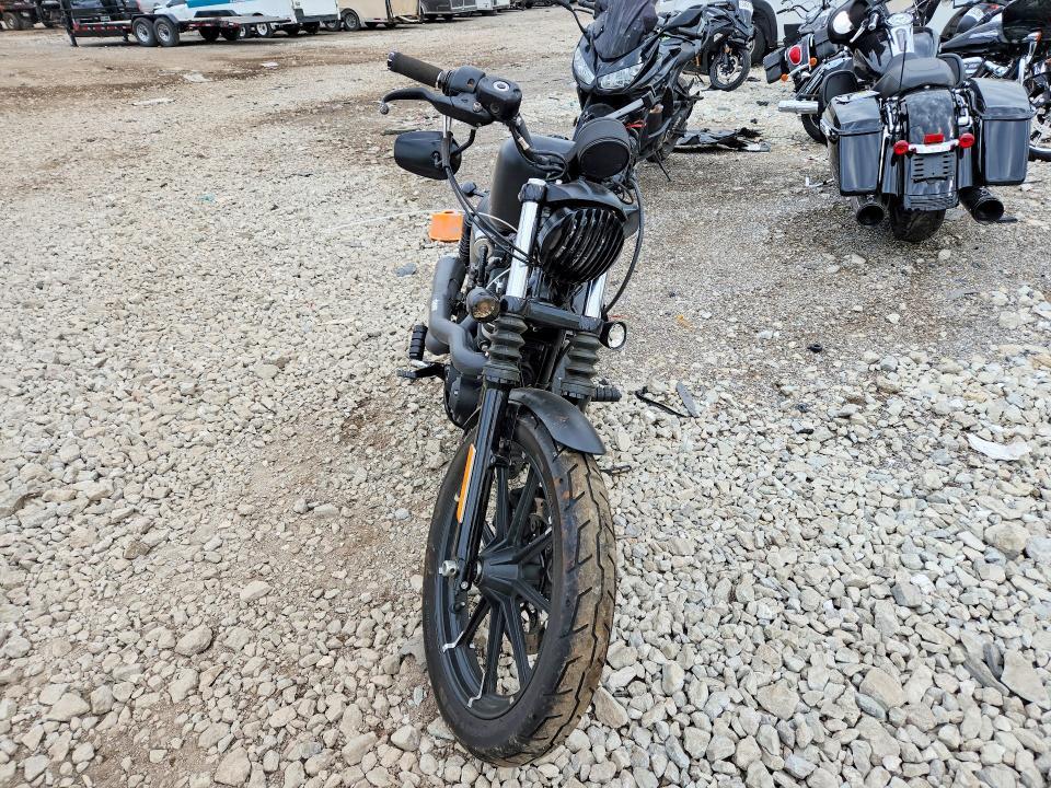 2019 Harley-Davidson XL883 N