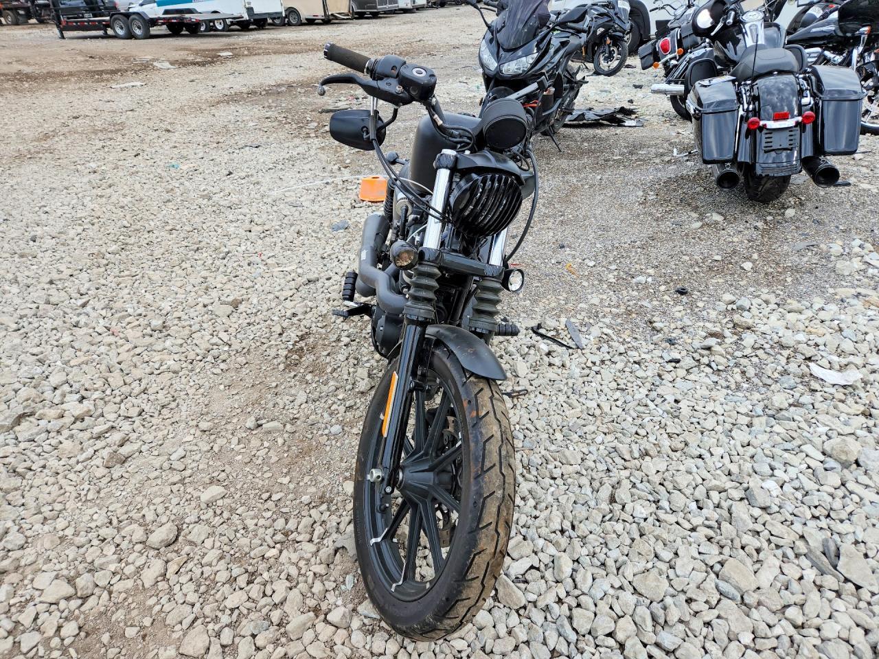 2019 Harley-Davidson XL883 N